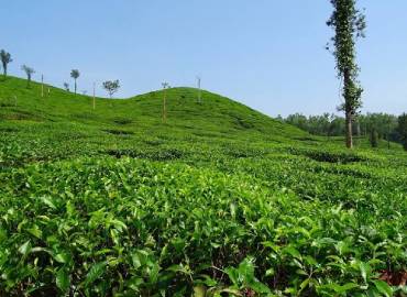 Nature Lover Homestay -Sittong Homestay